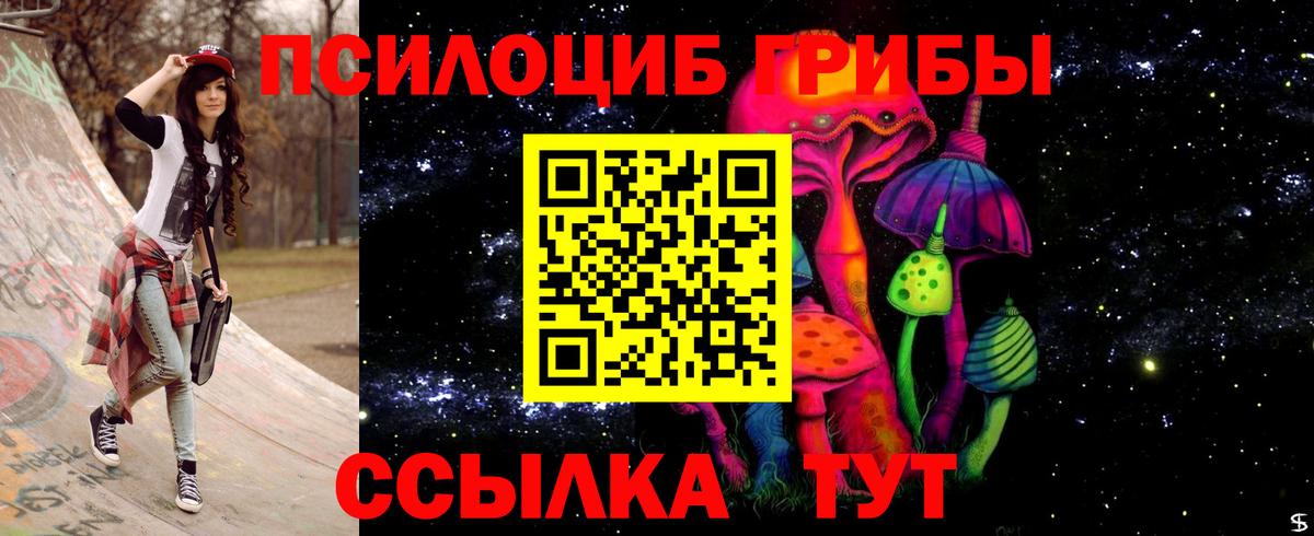 Качканар  Галлюциногенные грибы Psilocybine cubensis  Вход с VPN  Галлюциногенные грибы Psilocybe 