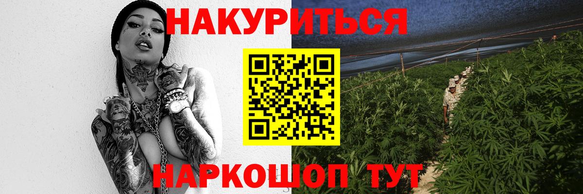 Бошки Шишки семена  Конопля гибрид  Качканар  МАРИХУАНА ГИДРОПОН  Вход с VPN 